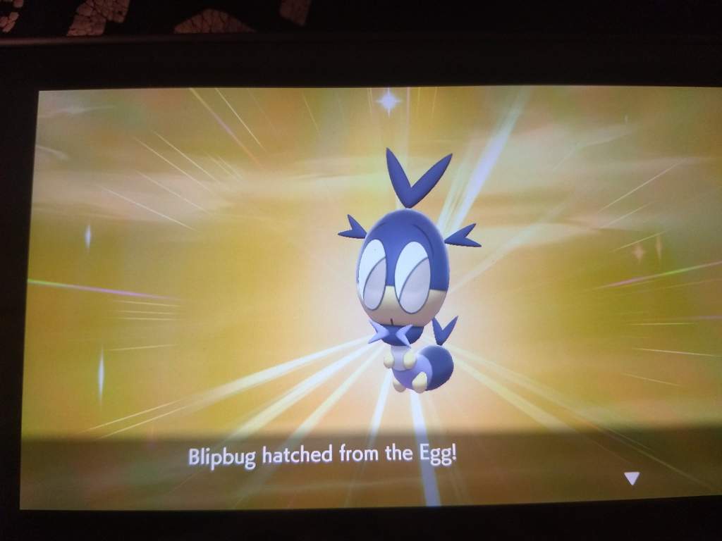 Shiny Blipbug Pokemon Sword And Shield Amino