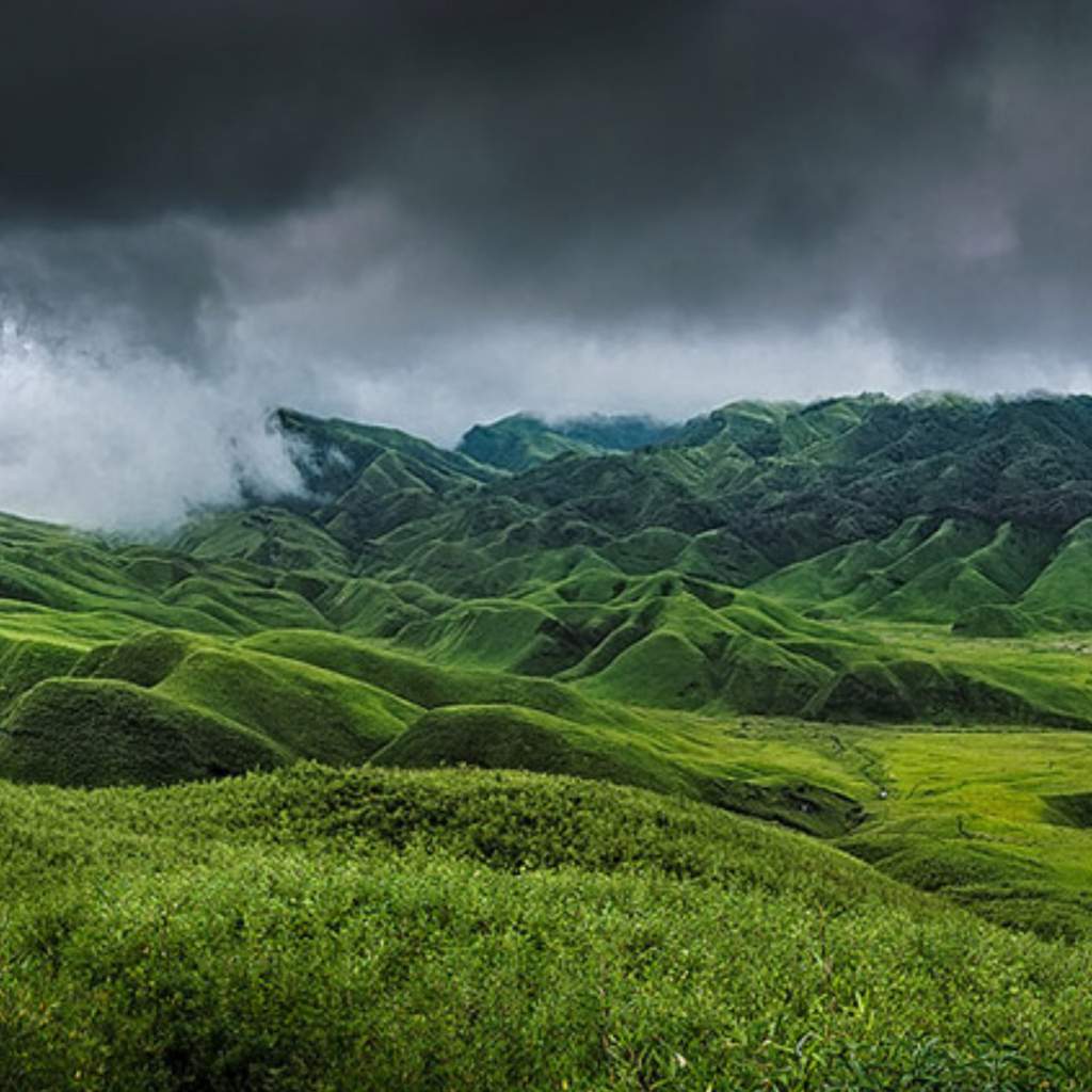 🌺Munnar Valley Kerala, an Indian Lavender Valley🌺 | Nature Lovers💚 Amino