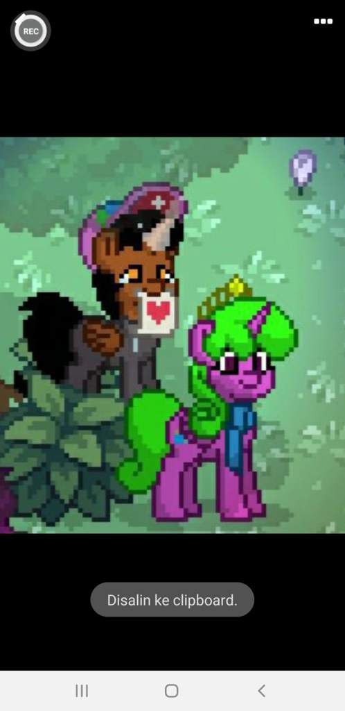 pony town commands for the open mouth