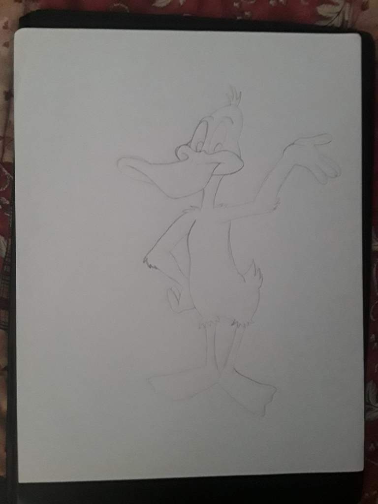 🦆Daffy Duck🦆 (Drawing) | Cartoon Amino