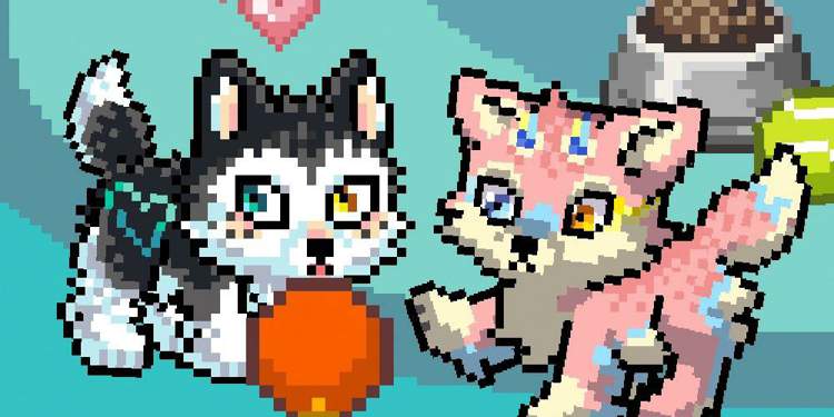 Main Chat Pixel Petz Offical Amino