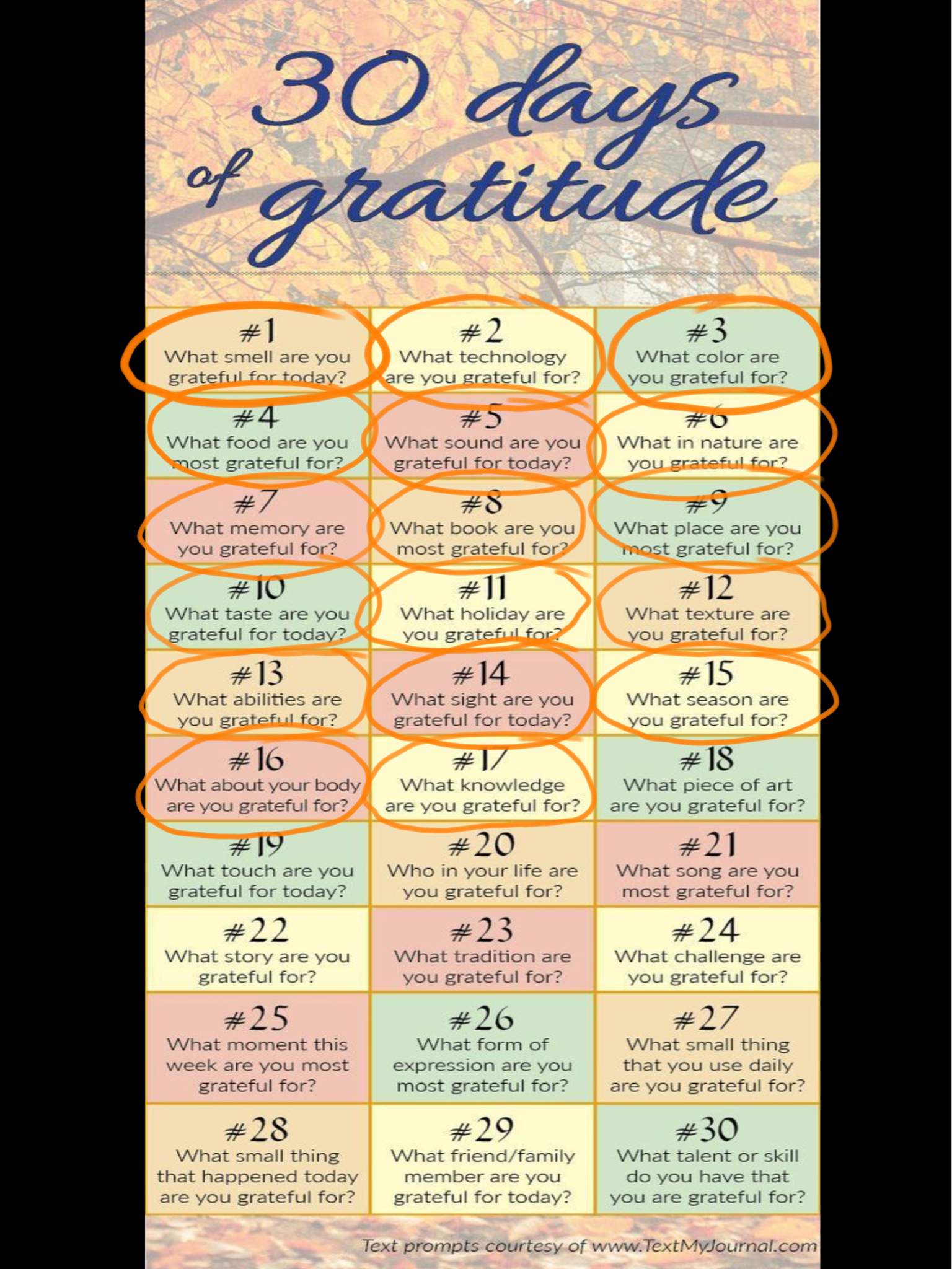 30 Days of Gratitude- 𝓓𝓪𝔂s 14-17 | Self Care Everyday Amino