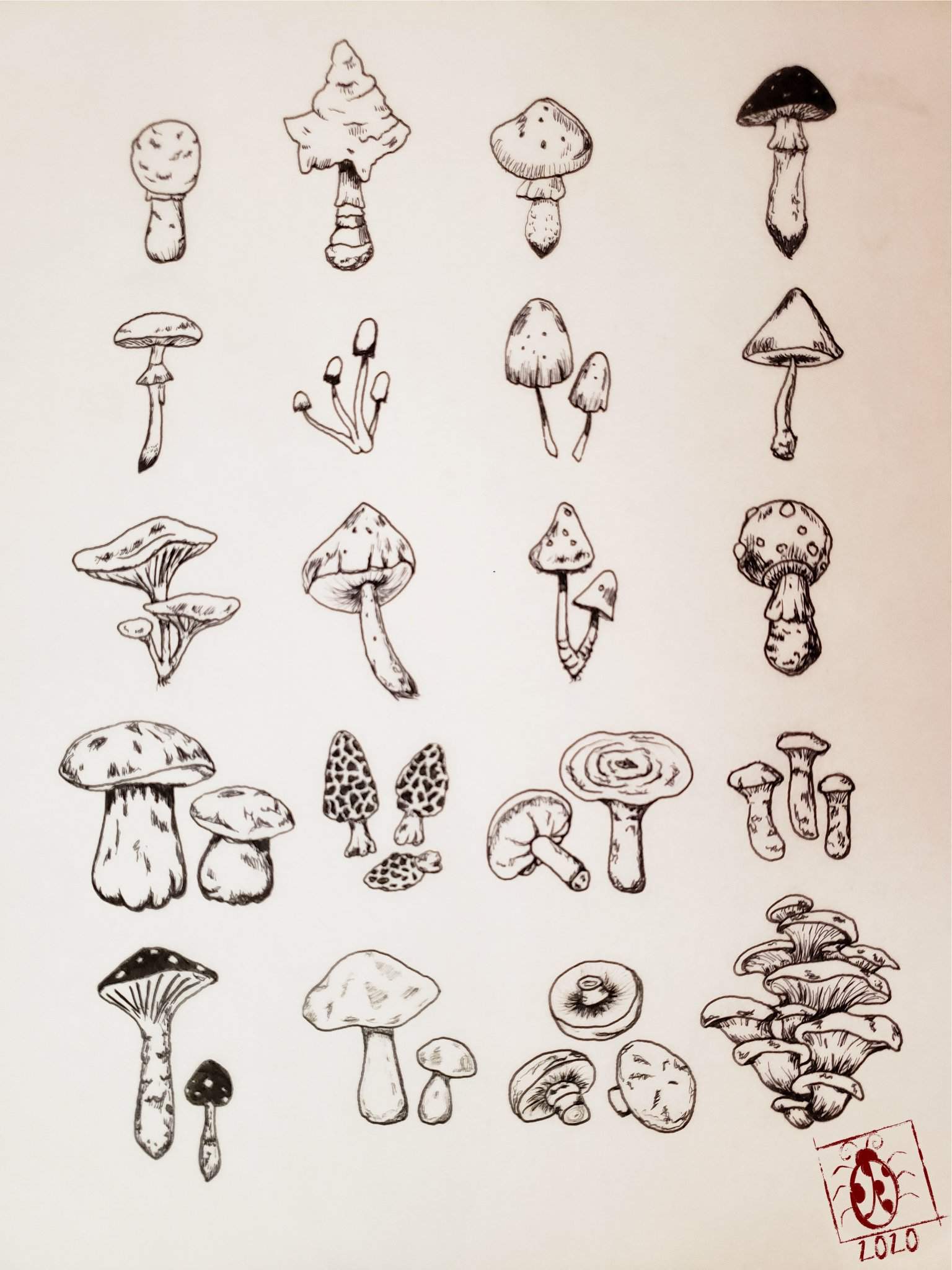 Mushroom Tattoo Designs | Art Amino