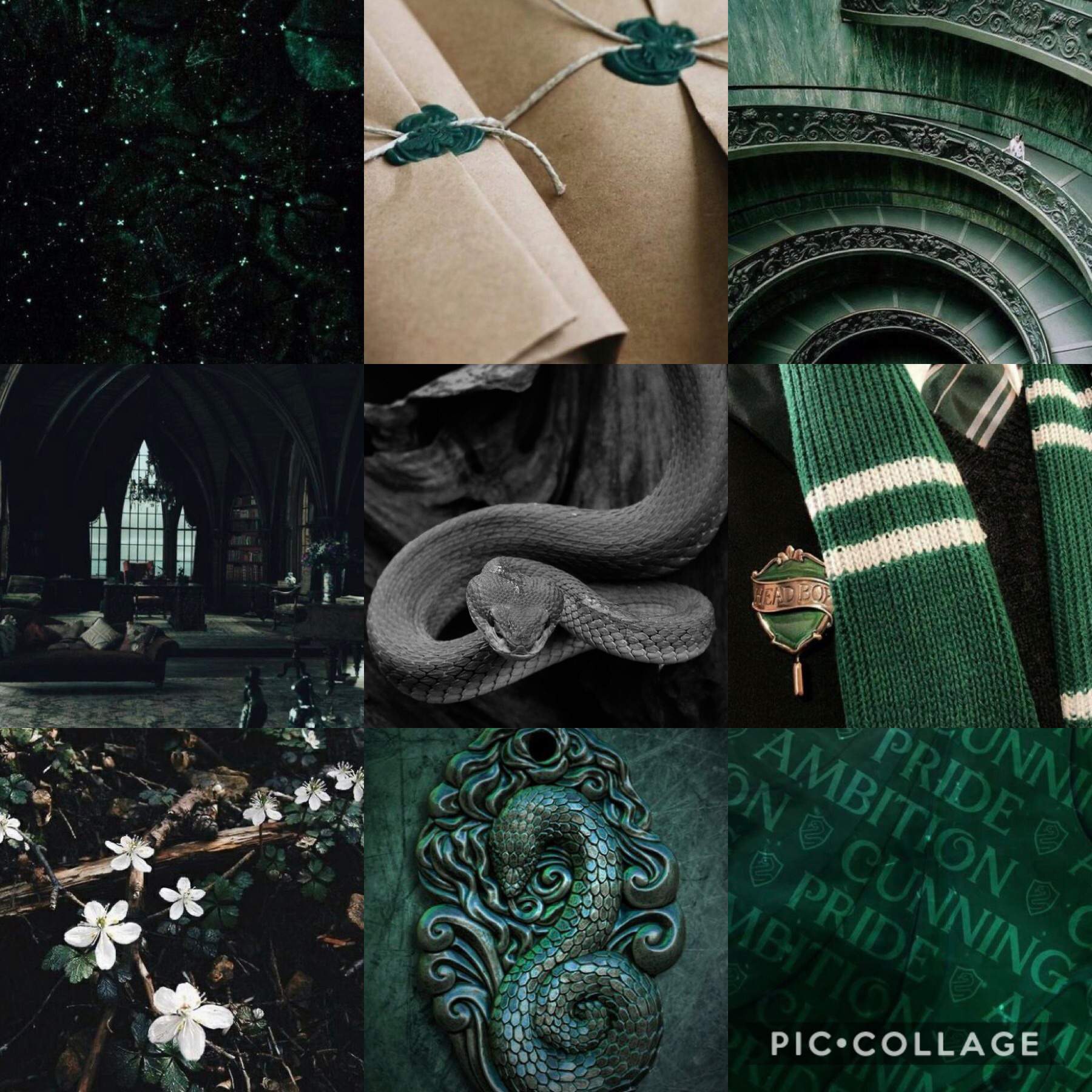 Slytherin moodboard 💚🤍💚 | Harry Potter Amino