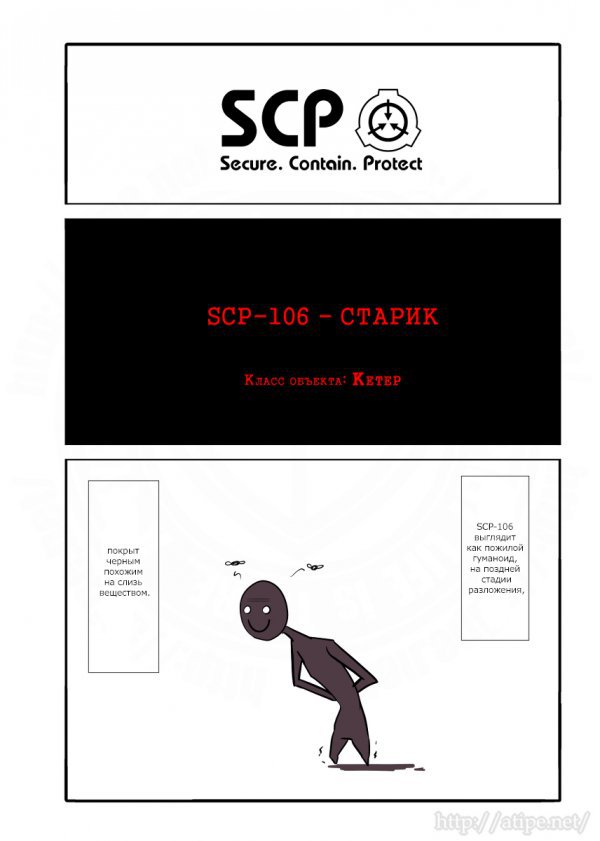 Полевые коды scp