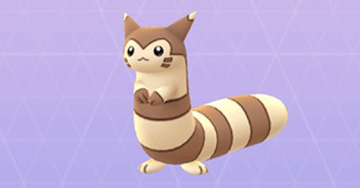 furret actual size