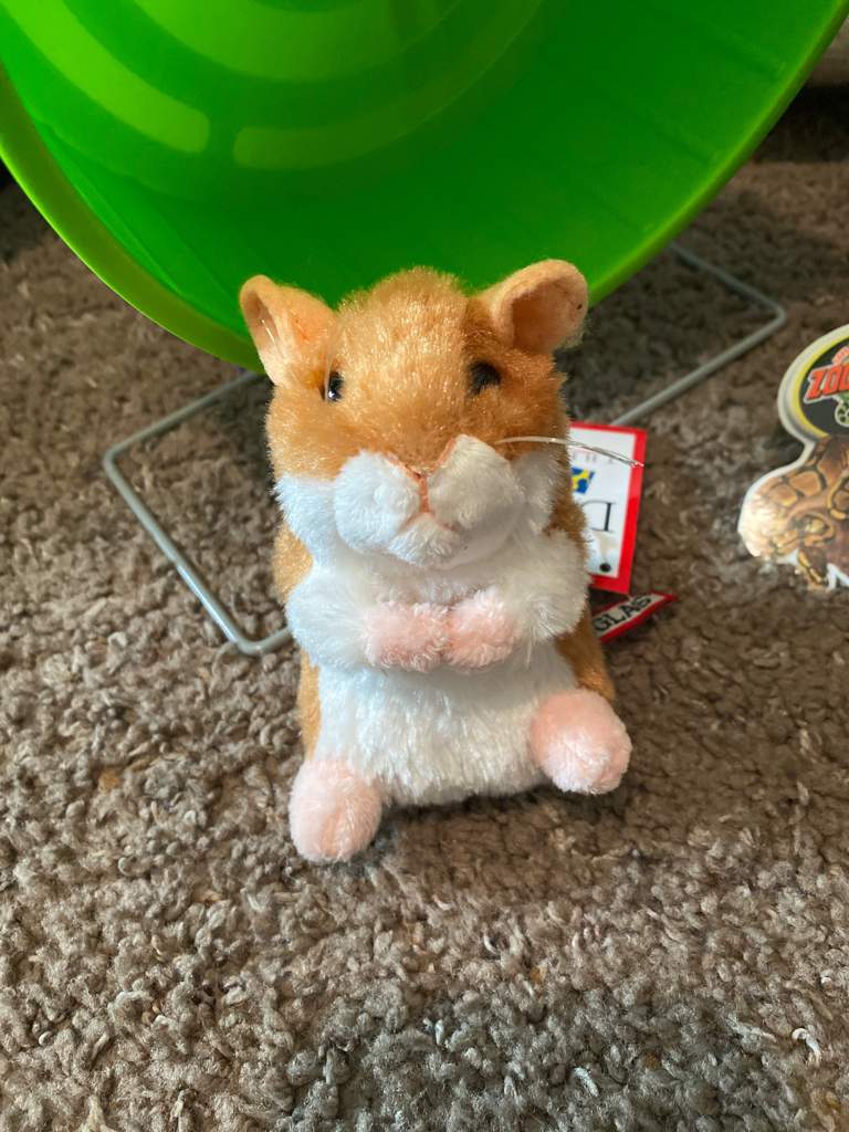 shopping🥳🤩 | Hamsters! Amino