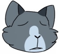 Dovewing has: | Moonkitti~ Amino