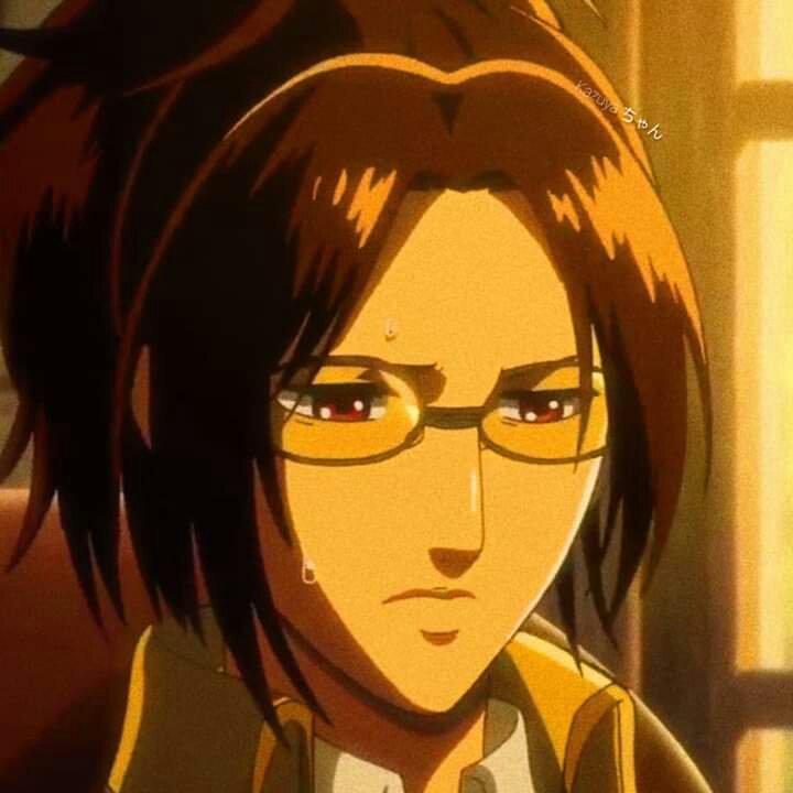 Hanji Zoe| Attack On Titan | Wiki | Anime Amino