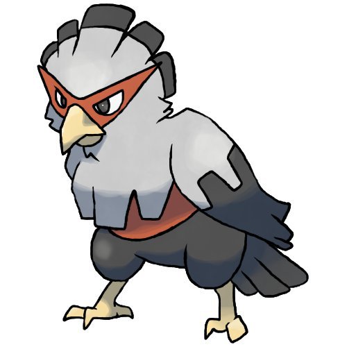 Aquila | Wiki | Pokemon Roleplay Amino... Amino