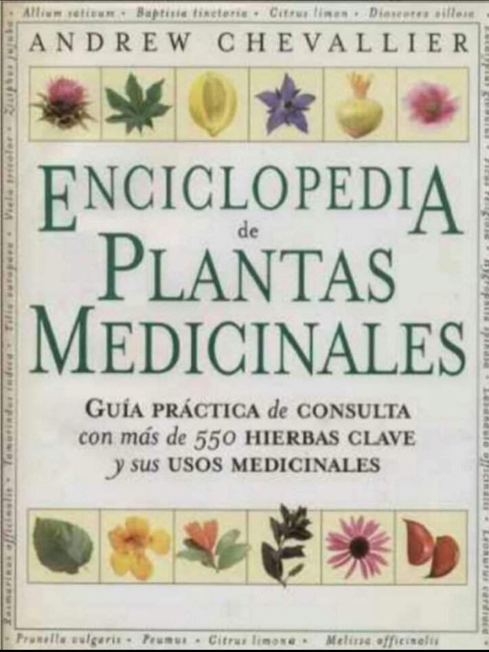 Enciclopedia de Plantas Medicinales | Wiki | Teen Wypa Amino