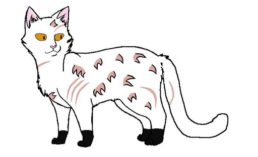 Чернозвезд коты воители