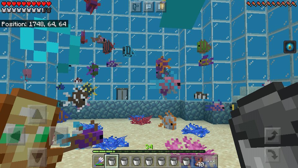 My tropical fish aquarium Minecraft Gamers Amino