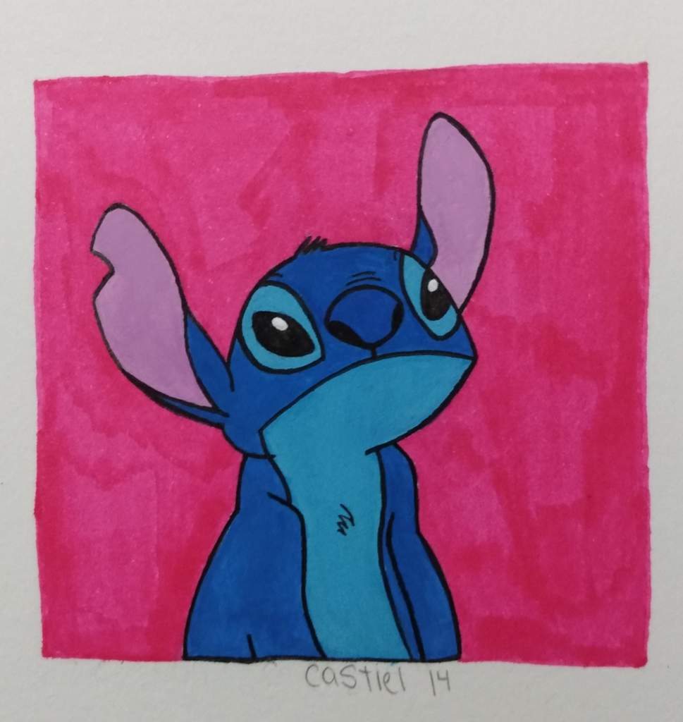 Stitch Drawing. 