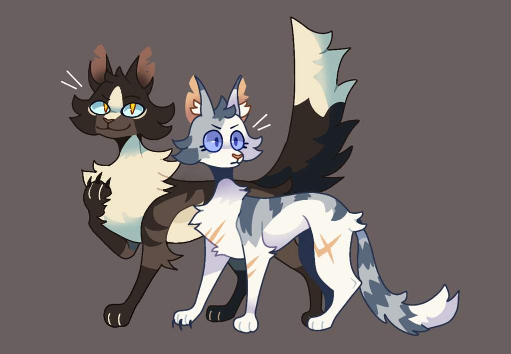 Hawkfrost and Ivypool | Warriors Amino