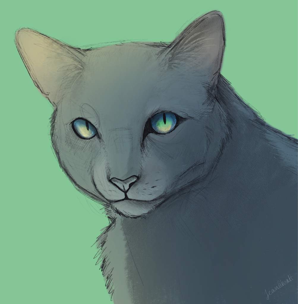 Bluestar | Warriors Amino