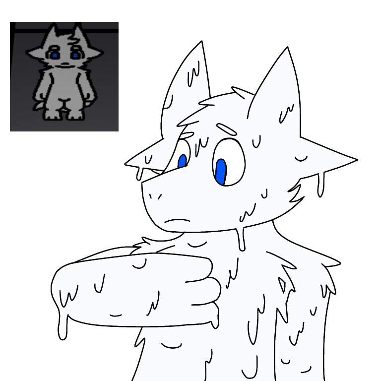 Just Snow Dragon ((edit: AAA TY 4 FEATURE)) | Changed Amino