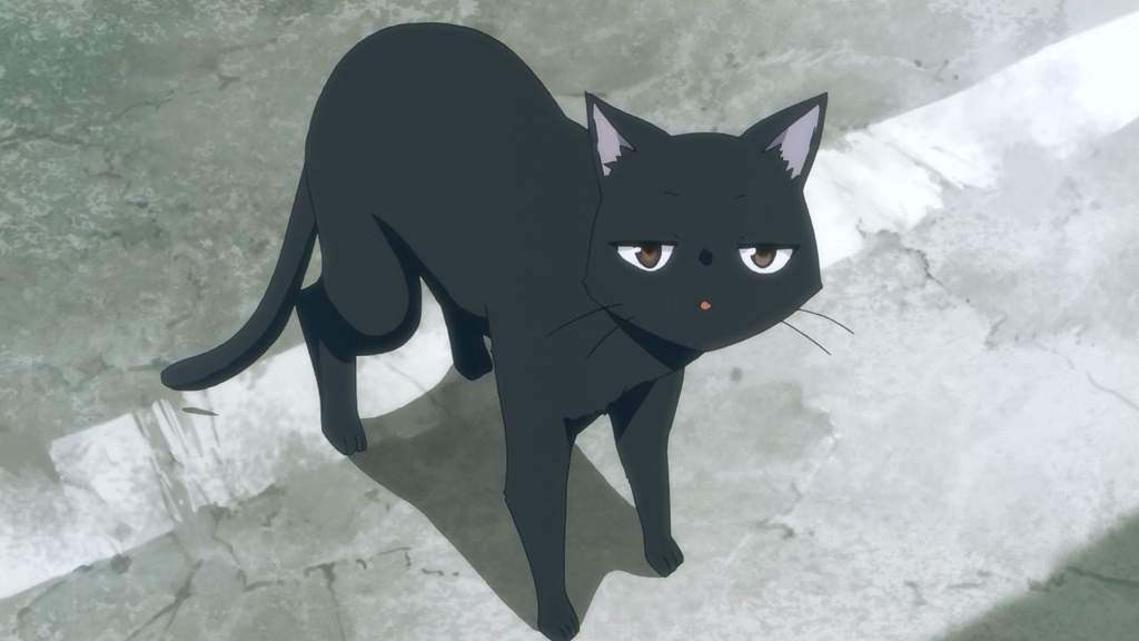 Anime with black cat