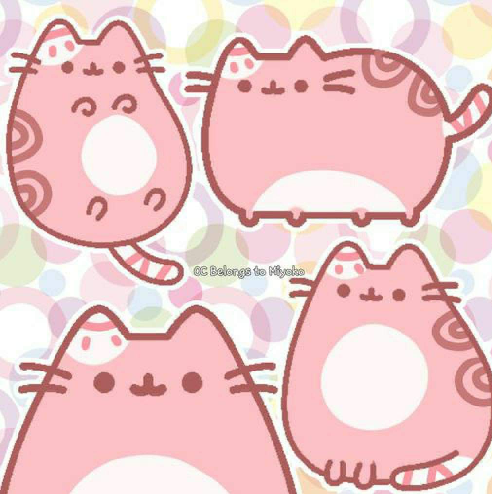 Miyoko Wiki Pusheen The Cat Amino Amino 0911