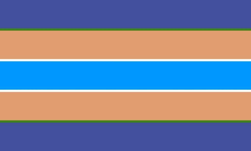 Ориентации и их флаги (часть 4) ЛГБТ-ПОДРОСТКИ 💙 Amino
