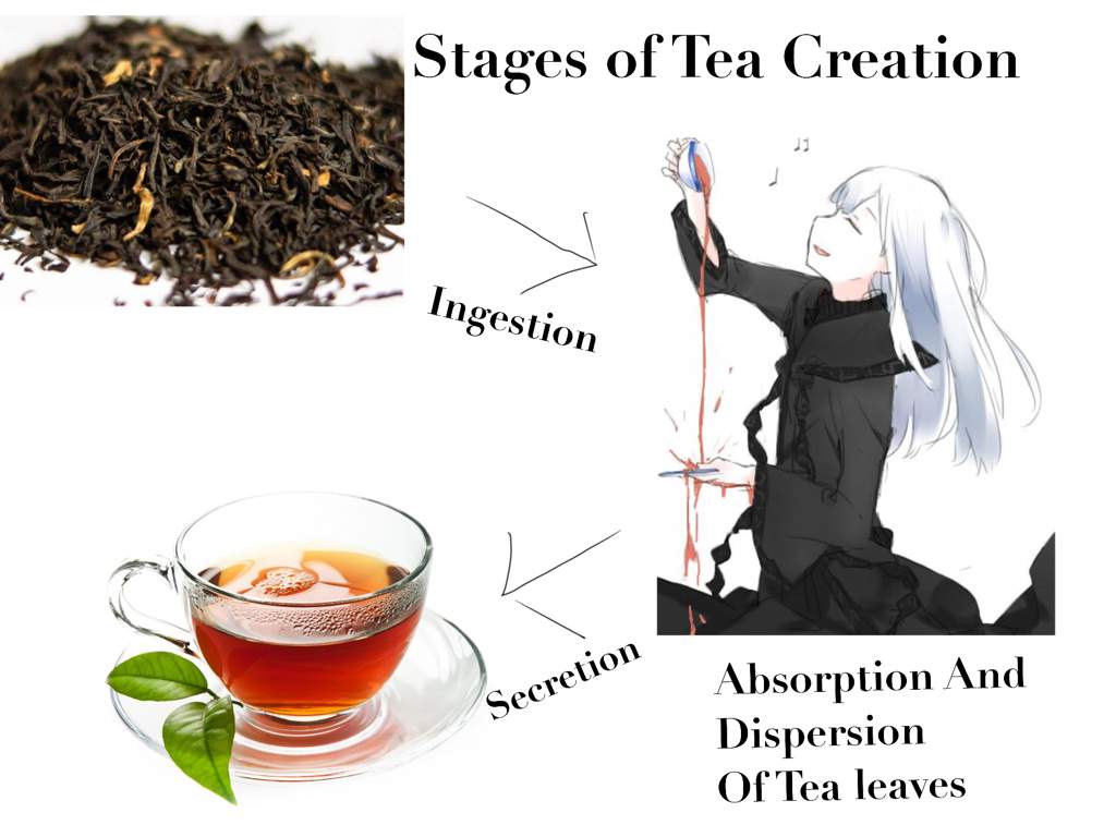 re zero echidna tea