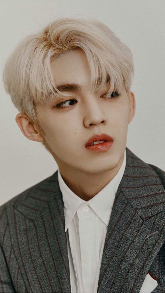 S.COUPS💕 | Kpop Amino