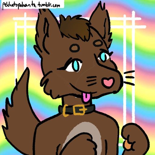 Pup Em Furry Amino