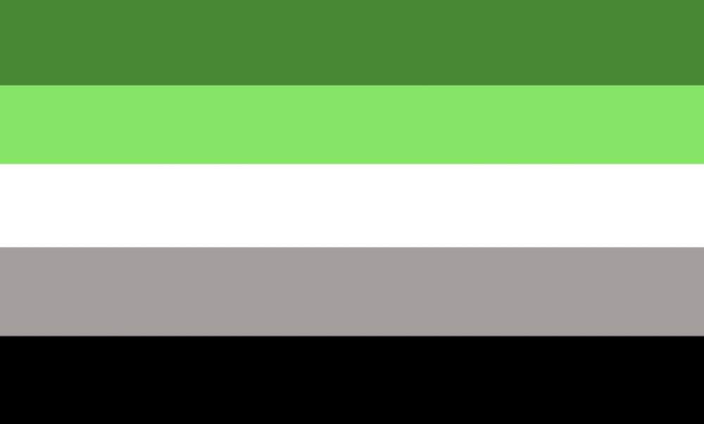 What is the real gay flag