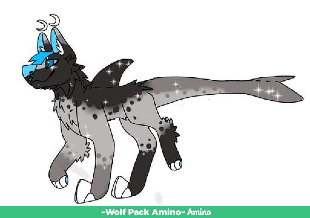 Ocs | Wiki | ~Wolf Pack Amino~ Amino