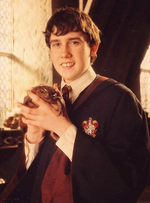 Neville Longbottom | Wiki | Harry Potter Amino