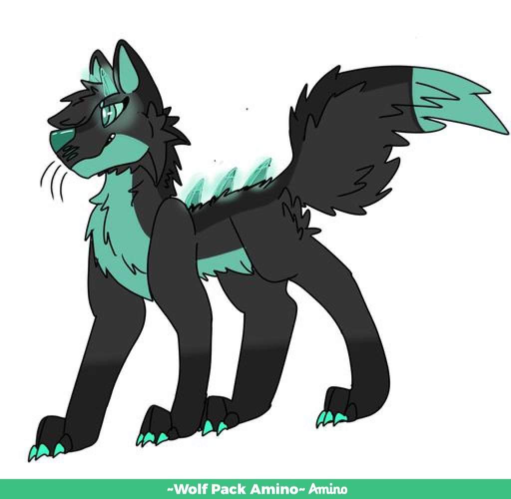 Ocs | Wiki | ~Wolf Pack Amino~ Amino