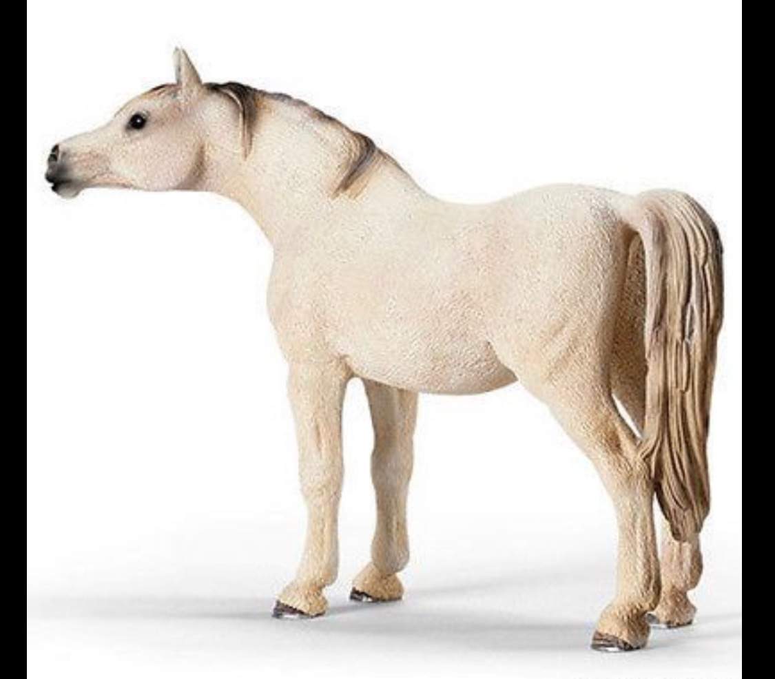 Names names names!! | Schleich Horses Amino