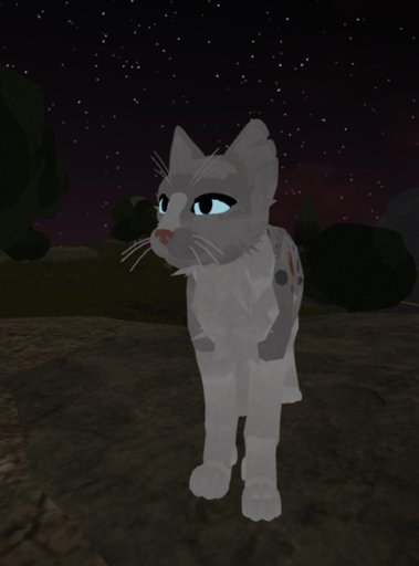 my warrior cat oc drawing roblox