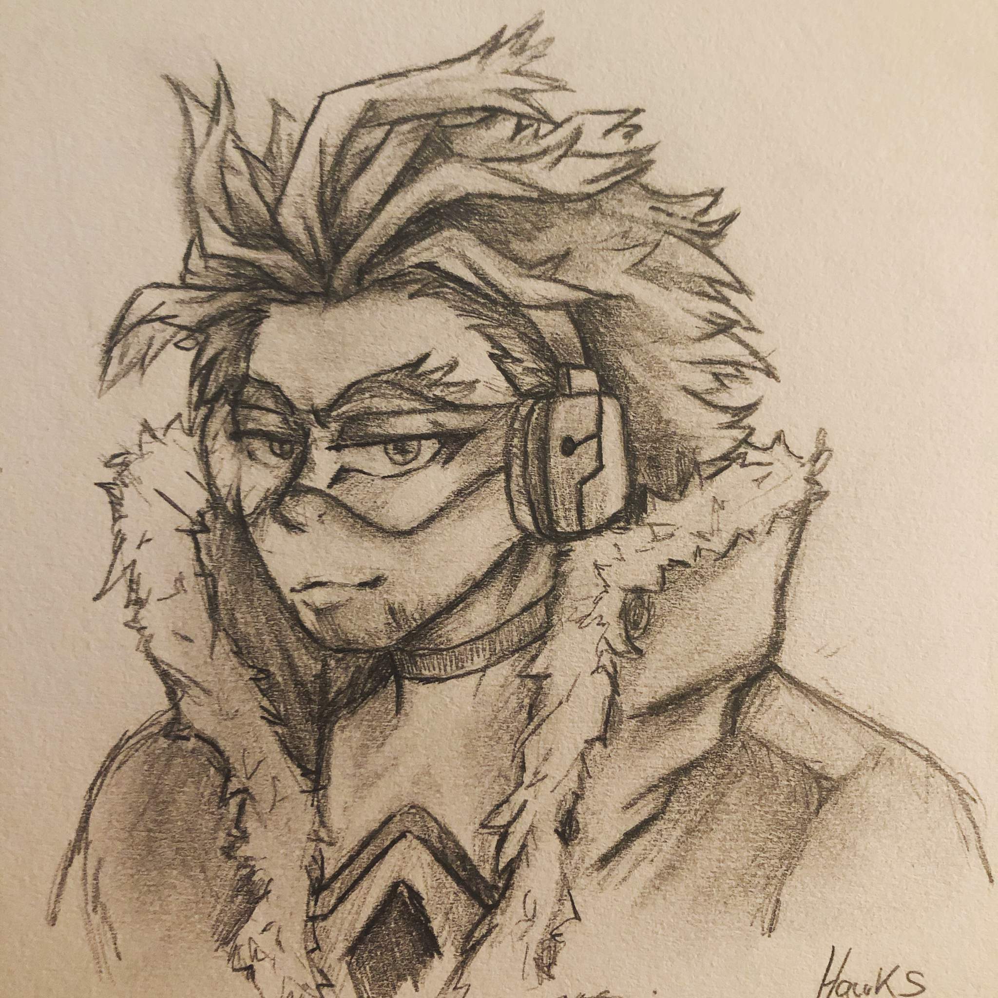 Hawks | Beginner Artist's Amino