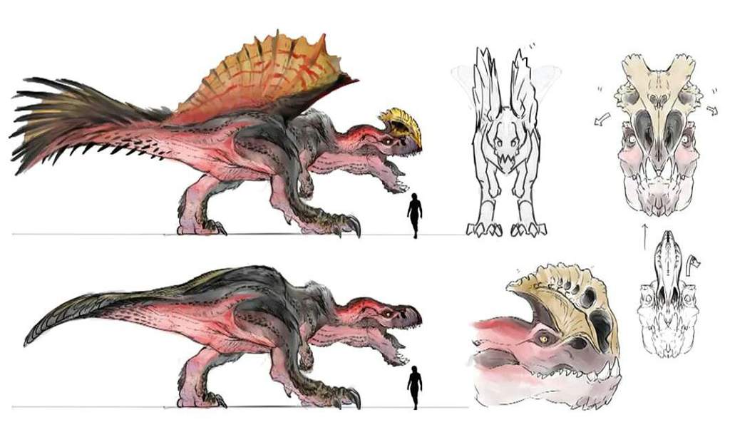 Goro The Anjanath Wiki Monster Hunter Amino   7af0c485dfc93b6d8e6eb0e313fb256df9bd7081r1 1060 650v2 Hq 