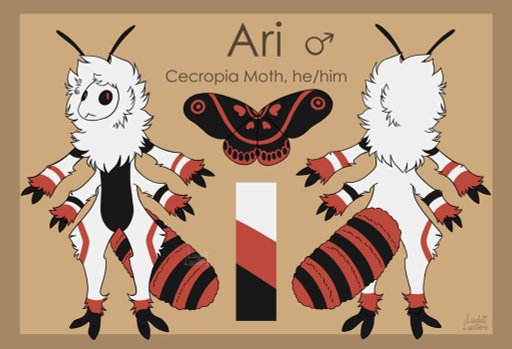Social Media | Wiki | Furry Amino