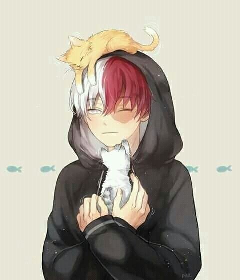 Adorable Shoto Todoroki Smile