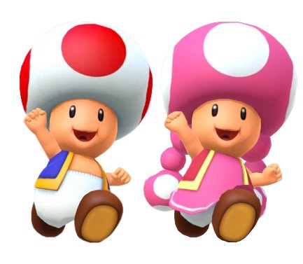 Toad and Todette | Mario Amino