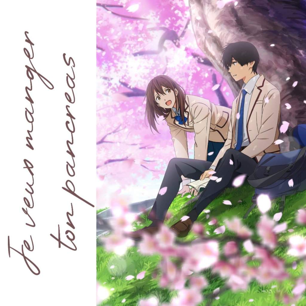 Je Veux Manger Ton Pancréas Livre Je veux manger ton pancréas ️〚 𝙼𝚒𝚗𝚒 𝚙𝚘𝚜𝚝 〛 | La Zone Otaku Amino