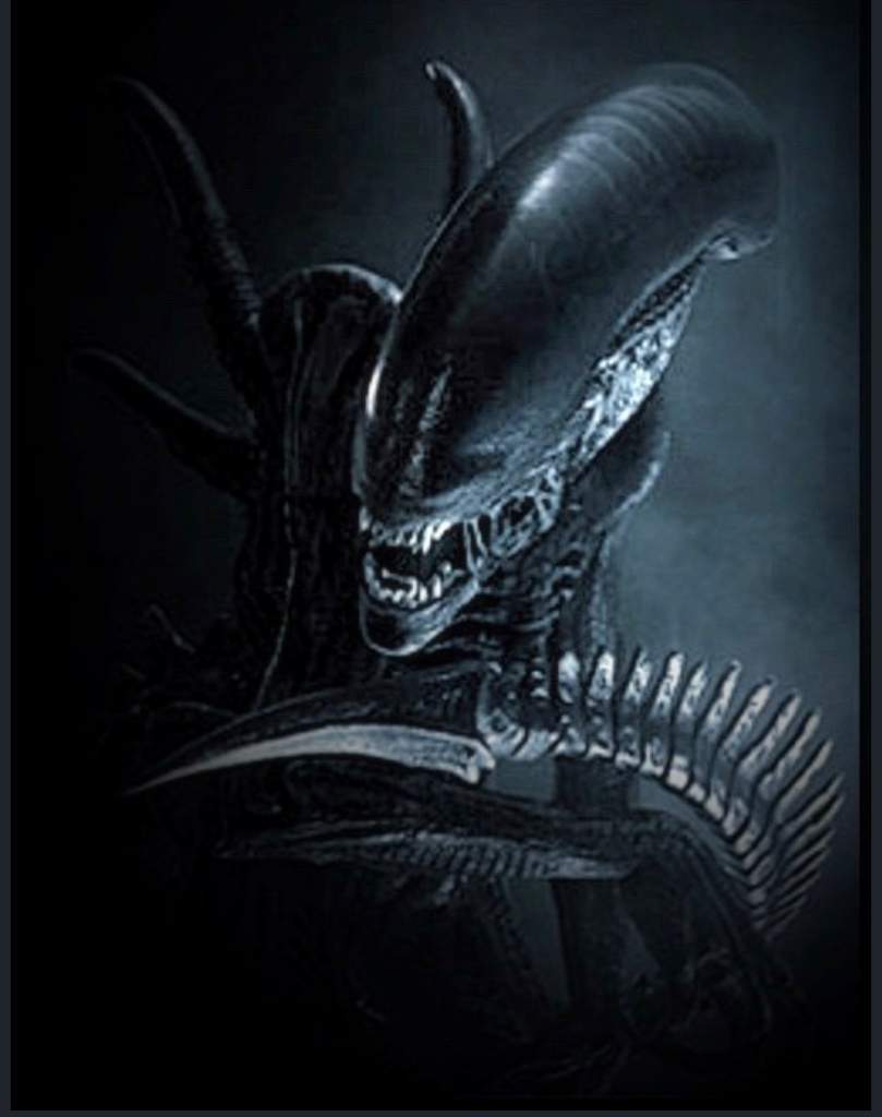 Xenomorph Wiki