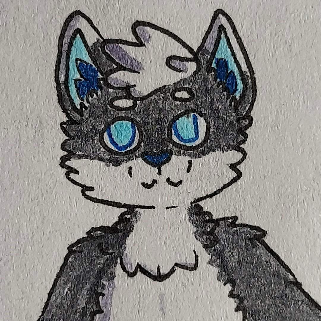 Salazard | Wiki | Furry Amino