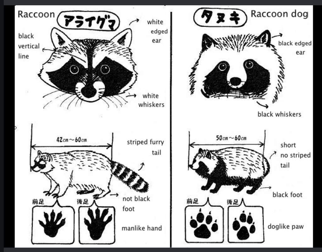 Lesson 3 #beginnerhw3cycle13 | Japanese School Amino