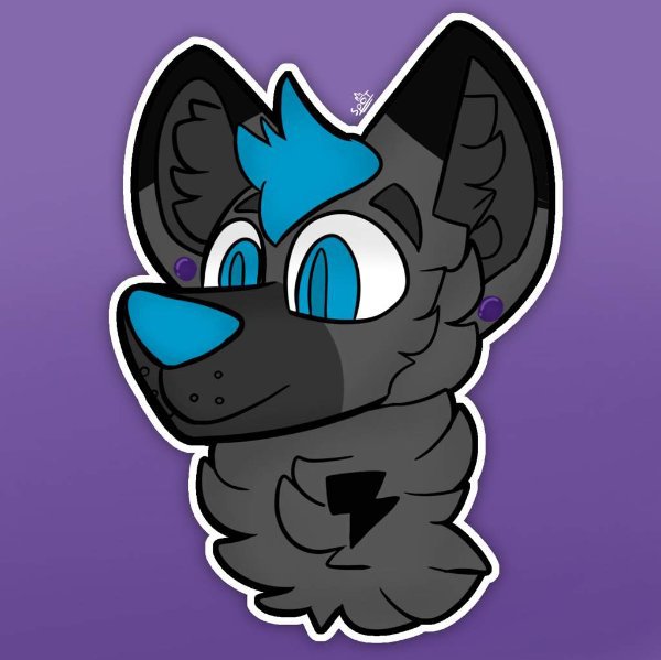 Ace_Gace (Julian_The_Wusky) | Furry Amino