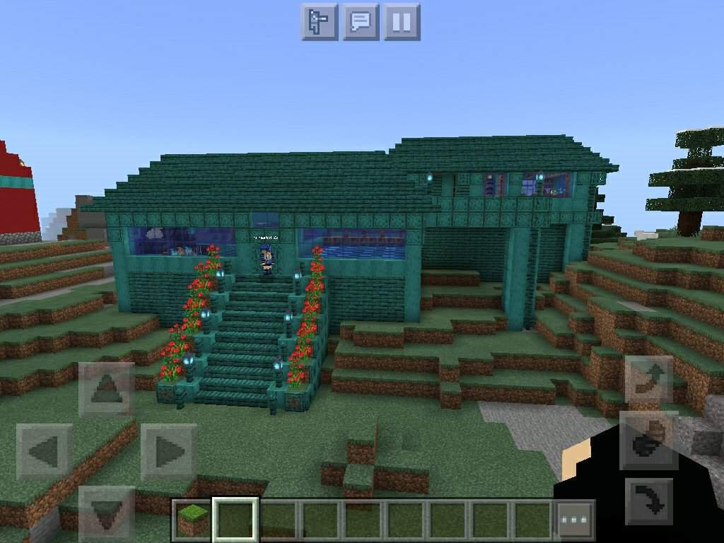 So I Build Two House An The Two Are 1 The House On The Hill And 2 The Blue House From The Nether Forest And My Friend Build The Barn House And