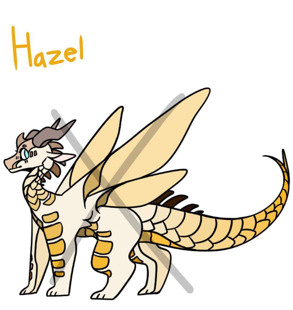 Hivewing Adopt Wings Of Fire Amino