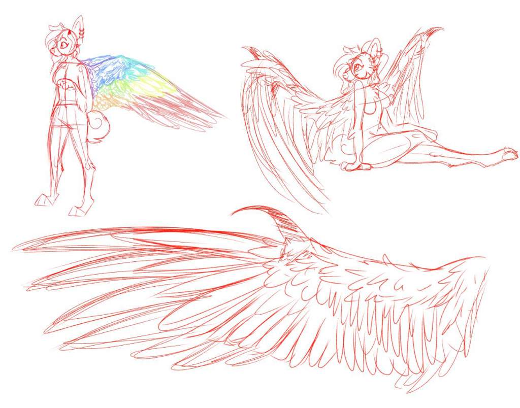 Wing studies! 🕊 | Furry Amino