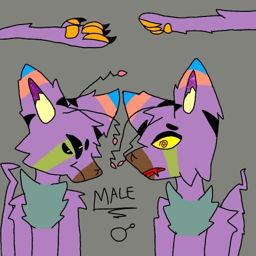 Animation Art + MAP Amino