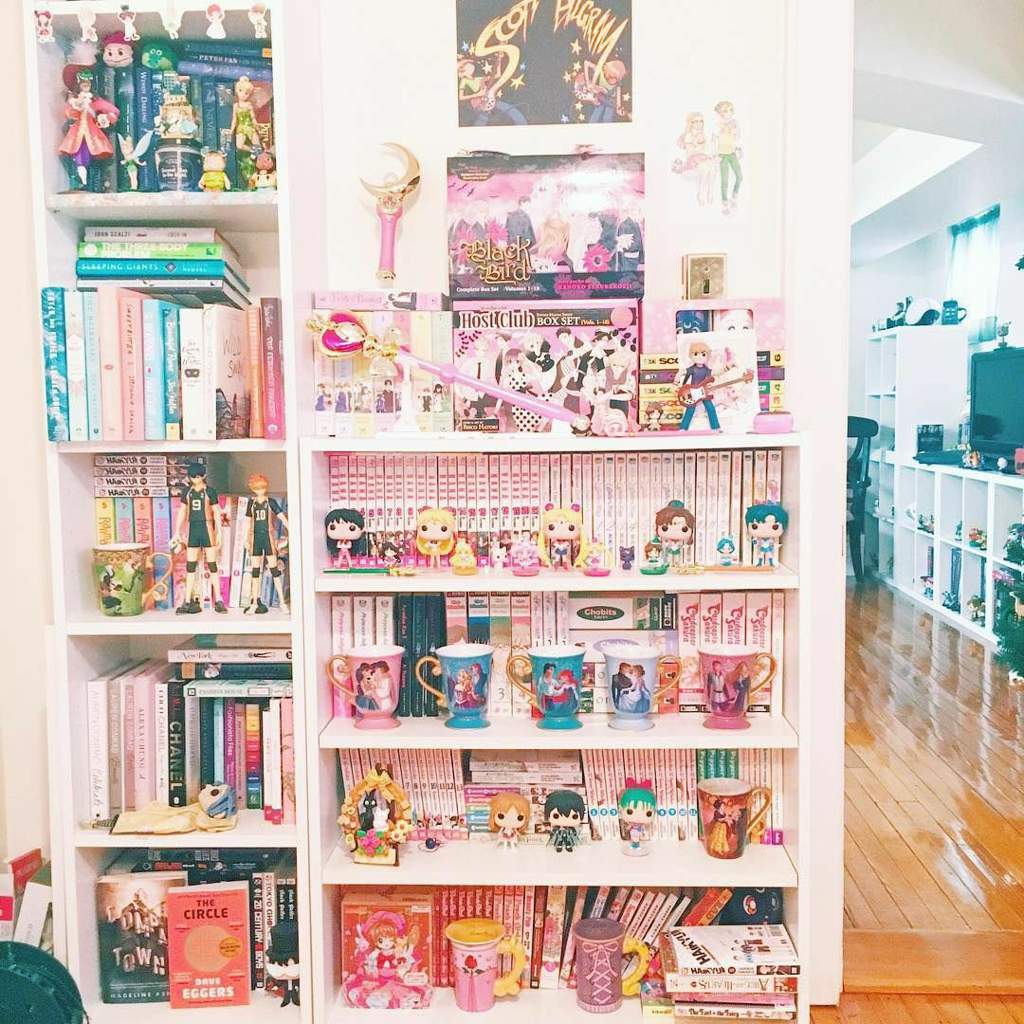 Manga Bookshelf Appreciation! | Manga Amino