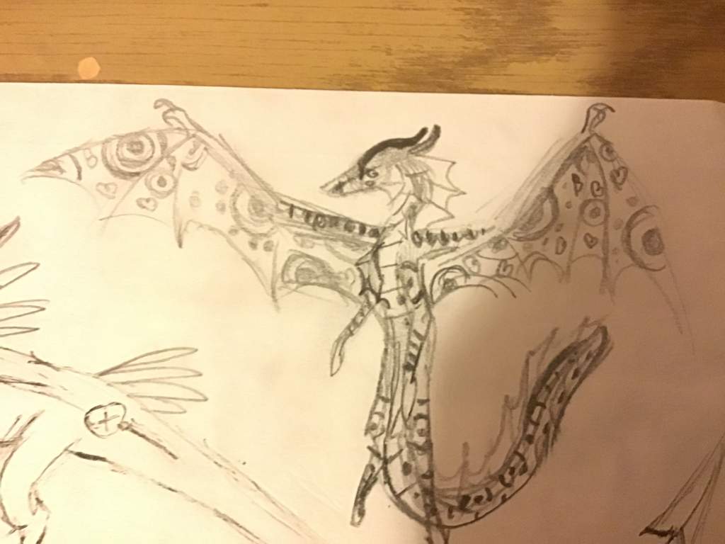 5 Ac Traditional Sketches Wings Of Fire Amino