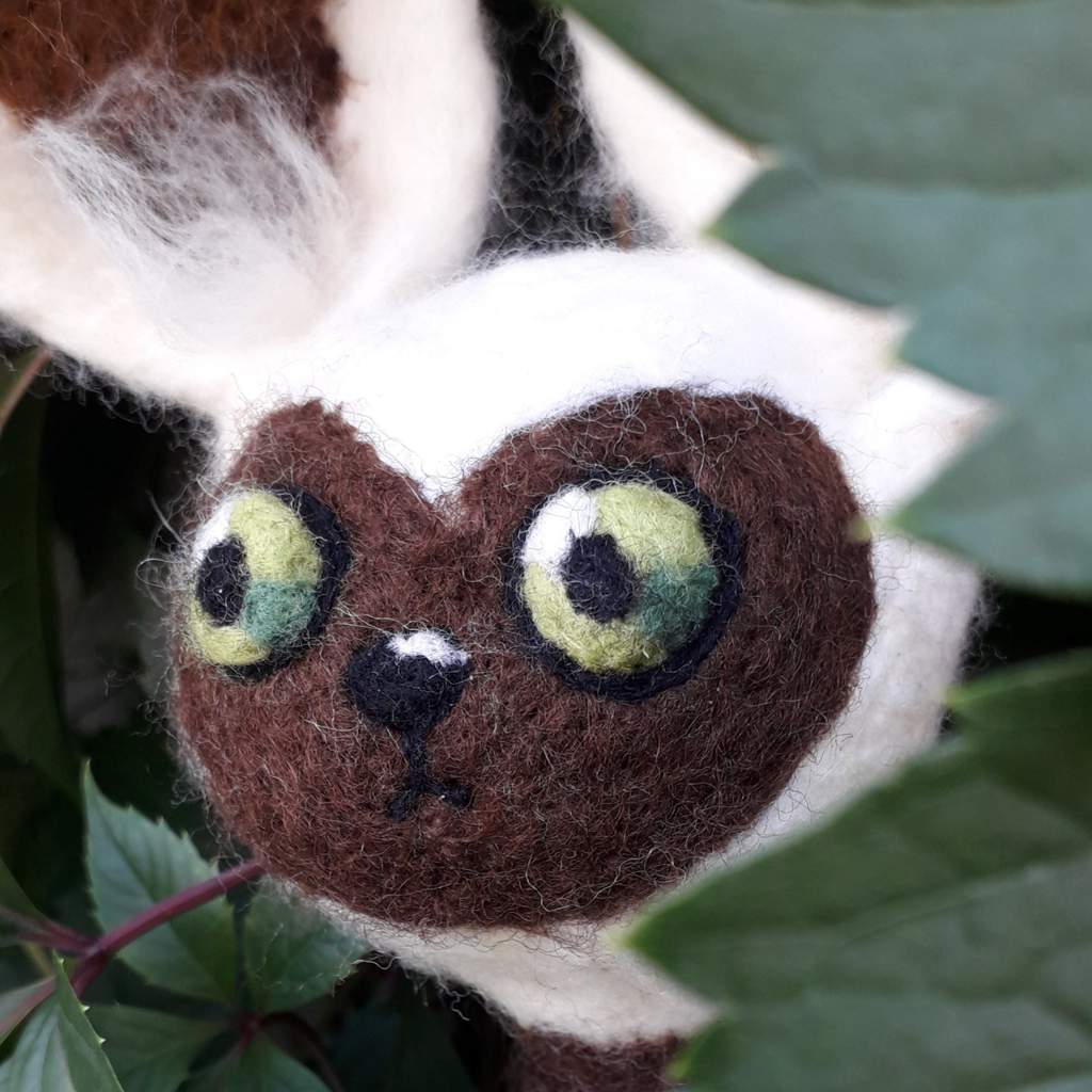my plush toy